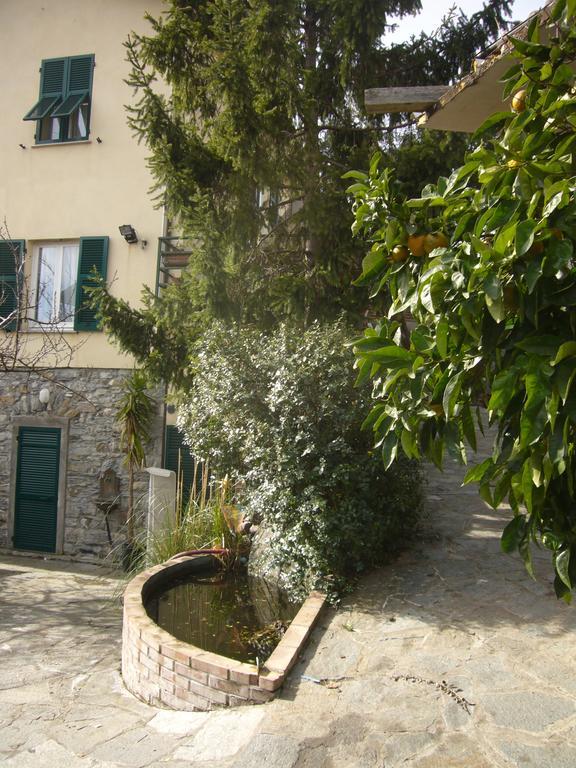 Agriturismo Olivarancio Leivi Exteriér fotografie