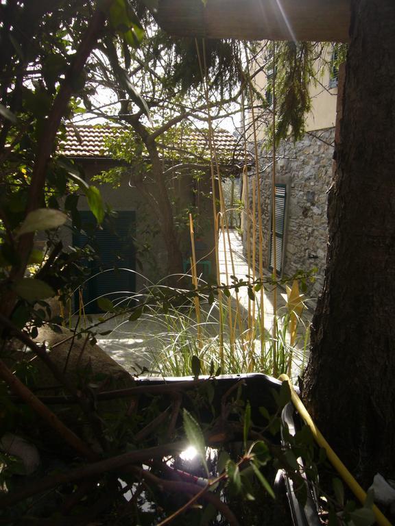 Agriturismo Olivarancio Leivi Exteriér fotografie